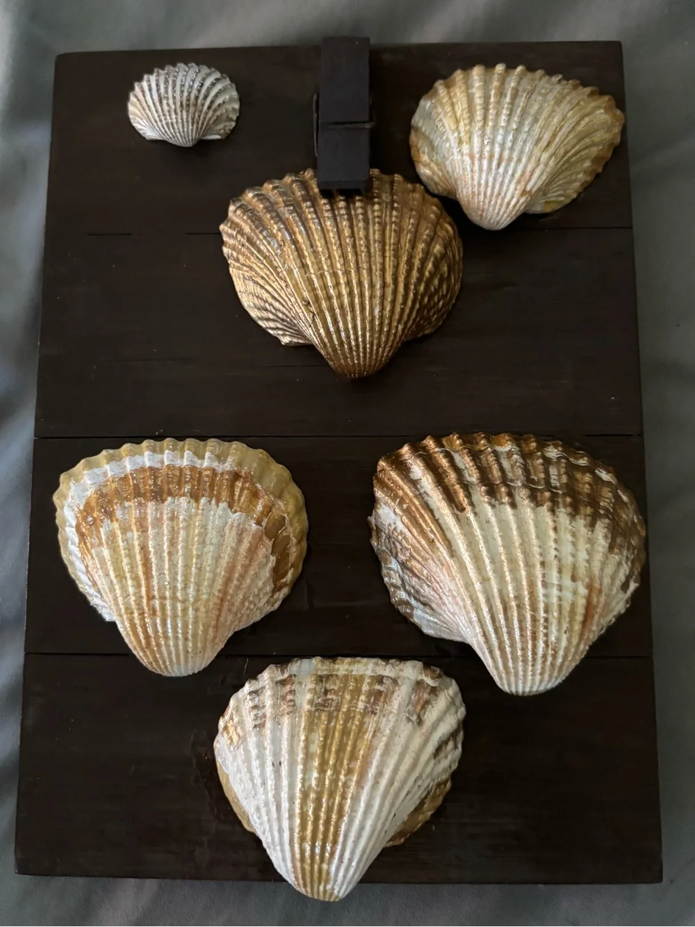 Seashell Wall Accent Panel in Gold and Cream - 8”x5.5”